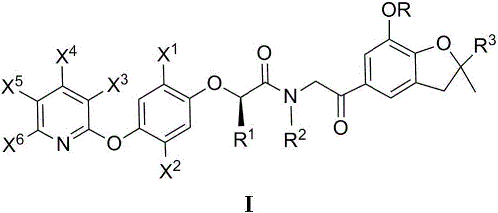 N-(oxo-ethyl)-2-[4-(pyridine-2-yl-oxy)phenoxy]amide derivative