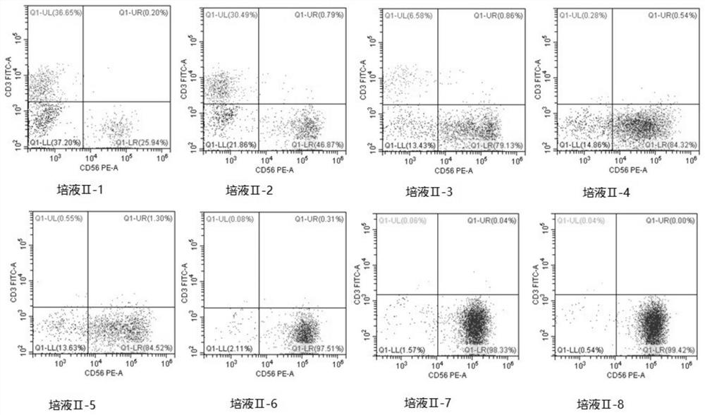 Method for differentiating human induced pluripotent stem cells into natural killer cells