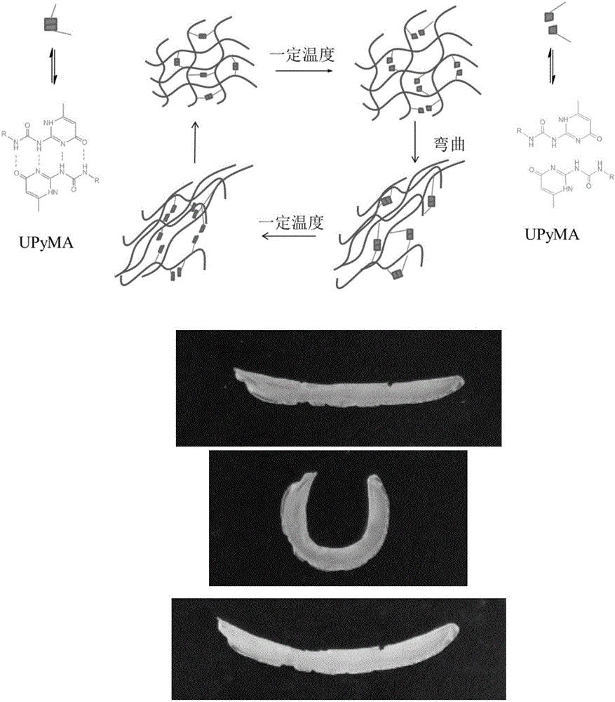 Thermal response shape memory hydrogel based on hydrogen-bond interaction and preparation method of thermal response shape memory hydrogel