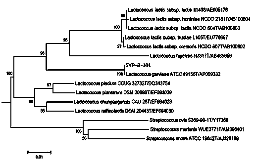 Lactococcus garvieae and biological feed-additive prepared therefrom