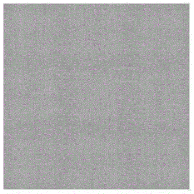 A Matching Method of Analog Raster Based on Hidden Image Dot Area Ratio