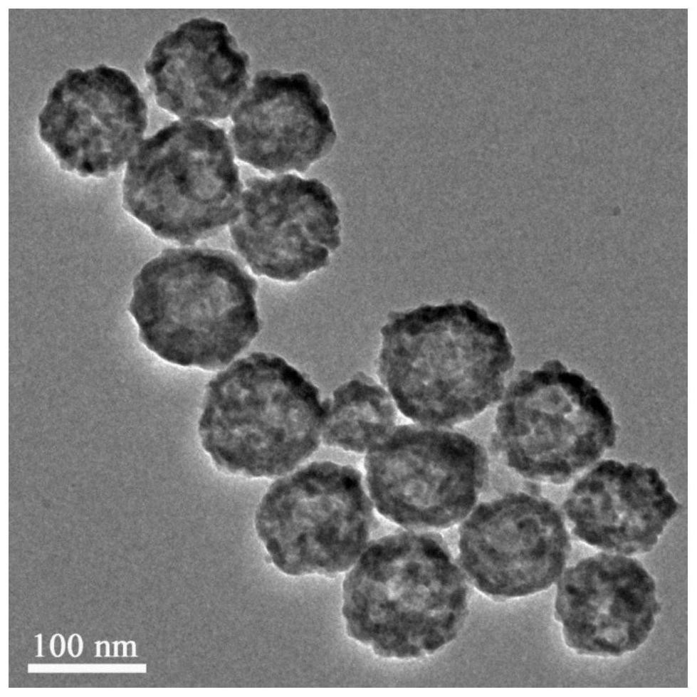 A kind of porous bismuth nano microsphere and its preparation method and application