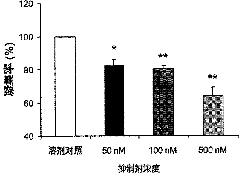 Application of nicotinamide mononucleotide ribose phosphate transferase inhibitor