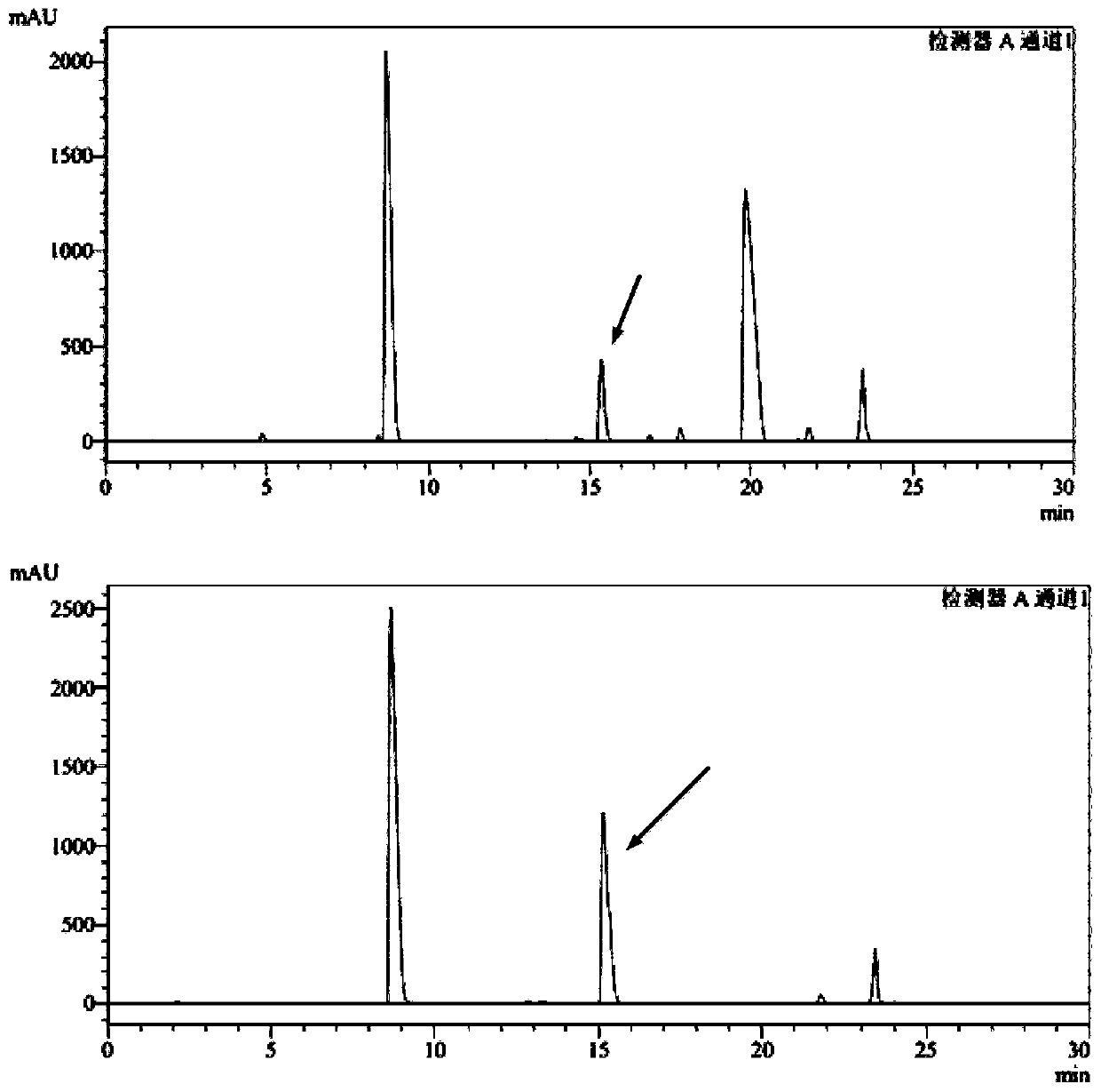 4-Hydroxyisoleucine production plasmid and bacterial strain and the synthesis method of 4-Hydroxyisoleucine