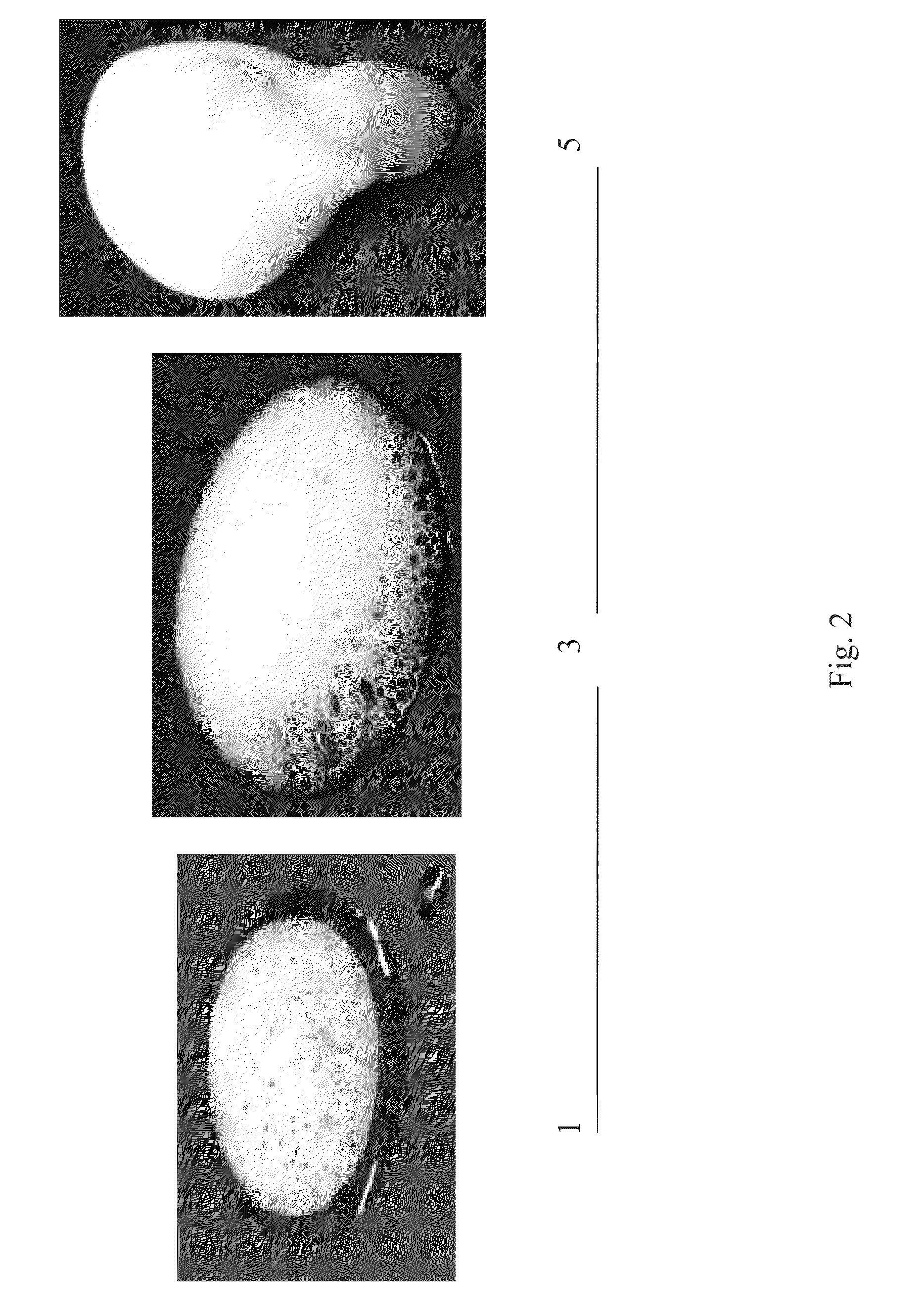 Antimicrobial alcohol foam compositions and methods of preparation