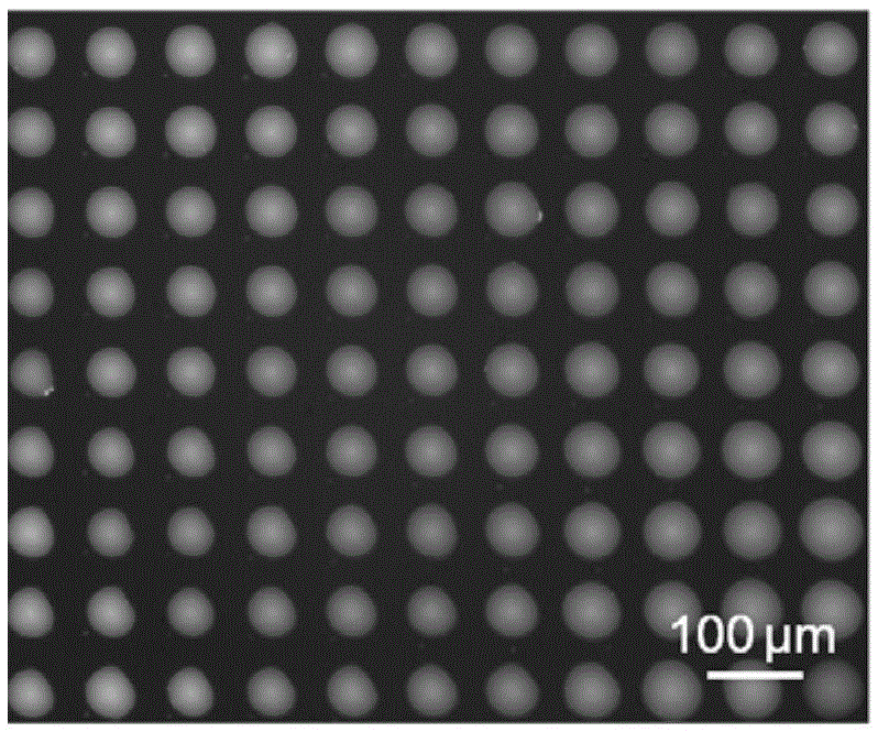 Ionic liquid micro-array monomolecular-layer fluorescent sensing film, and preparation method and application thereof