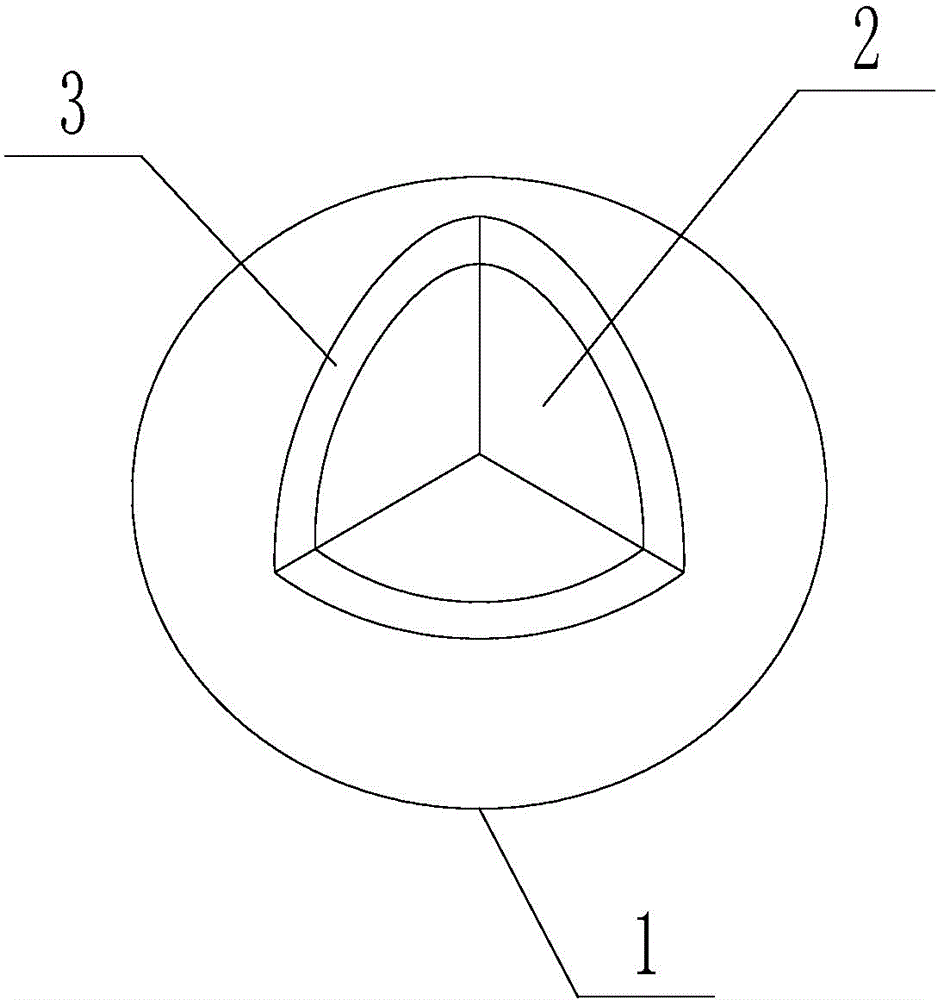 Composite heat storage body