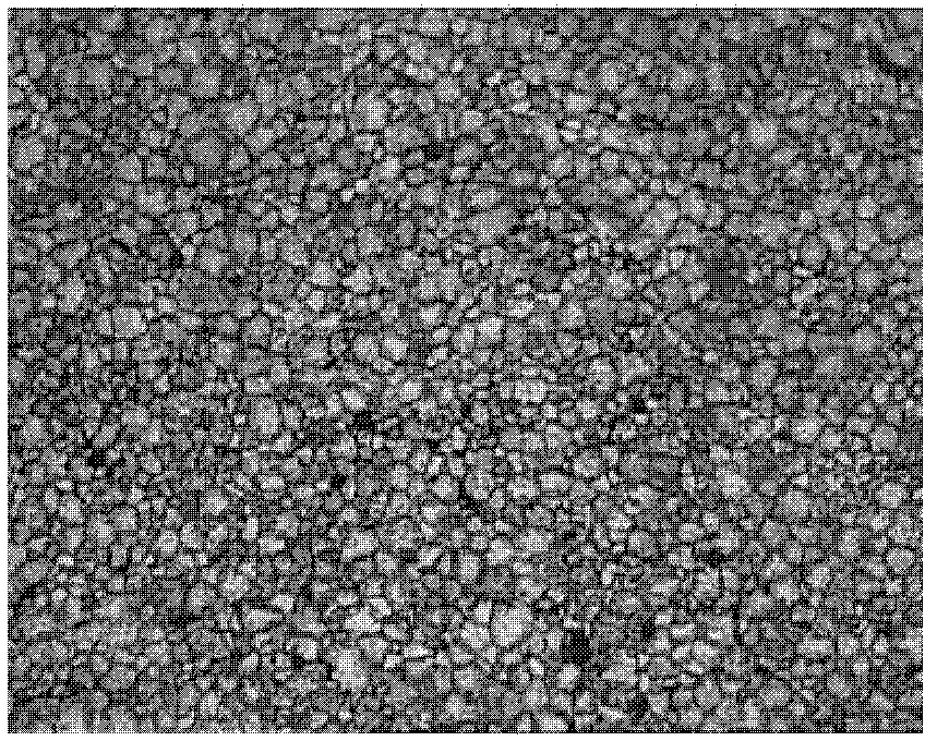 Method for producing profile for aircraft wing stringers