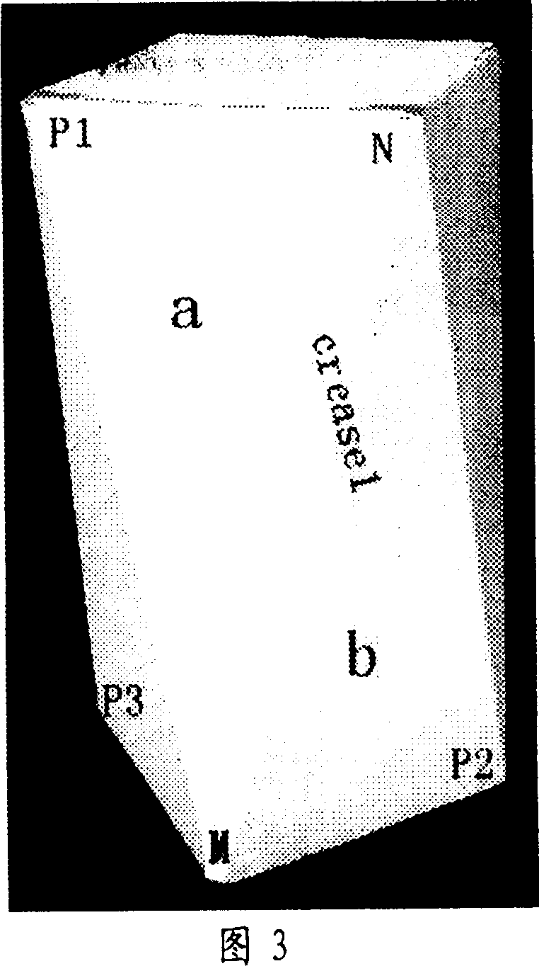 Computerized three-dimensional demonstration method for special case type structures