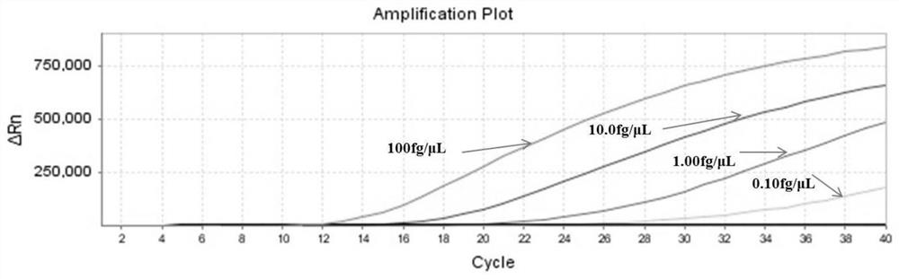 Recombinase-mediated amplification constant temperature detection method and kit of precious Chinese herbal medicine American ginseng