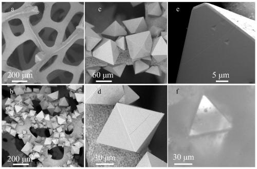 Preparation method and application of tungsten oxide hydrate single-particle Raman substrate