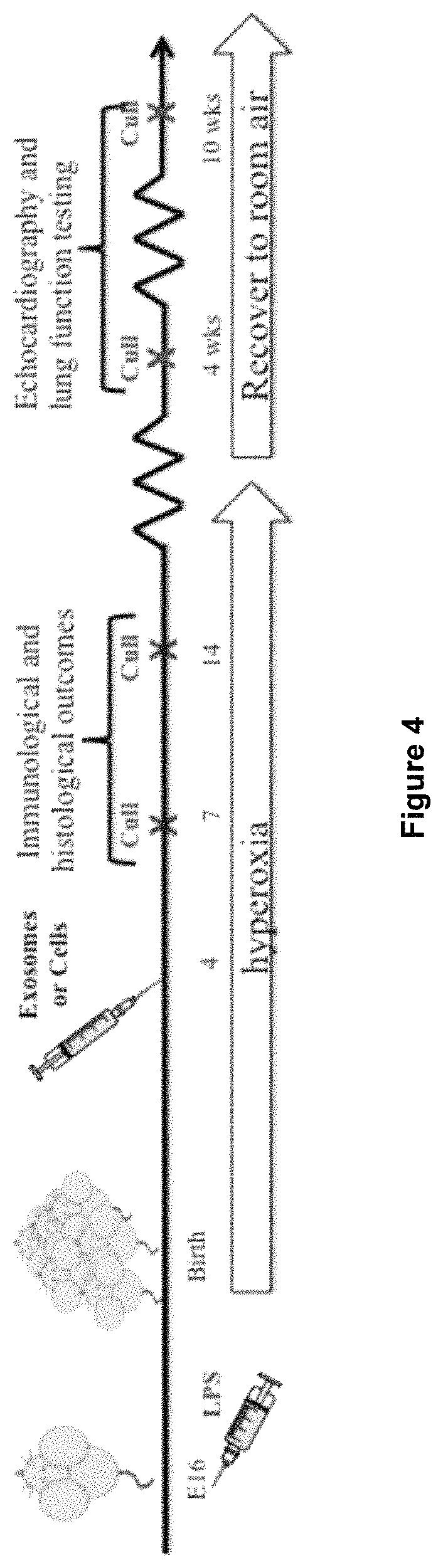 Method of treatment