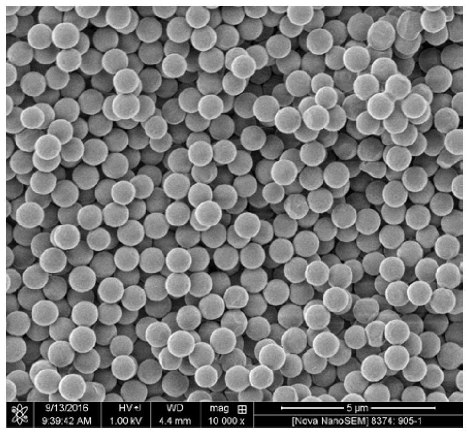 Multi-network monodisperse polyacrylamide polymer gel microspheres and preparation method thereof