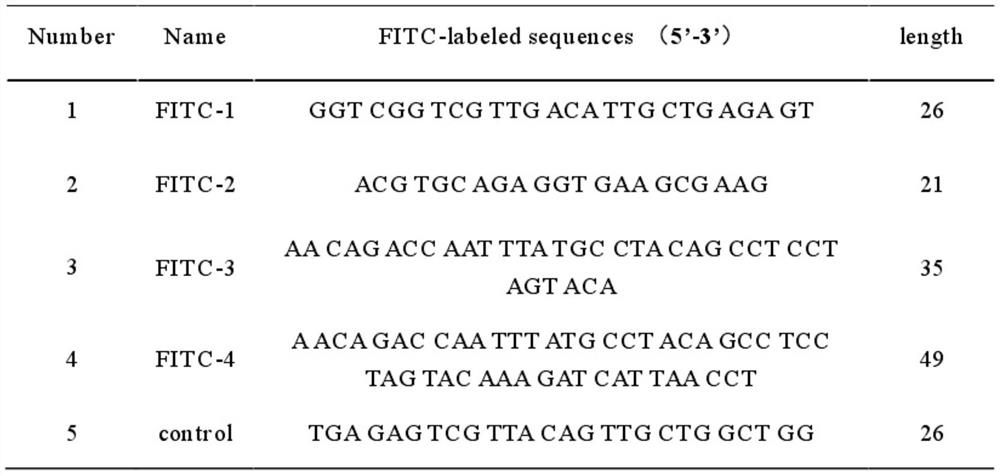 Hepatitis B covalently closed circular dna magnetic capture technique