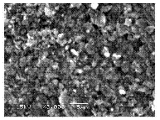 Active carbon ceramic with selectivity and preparation method thereof