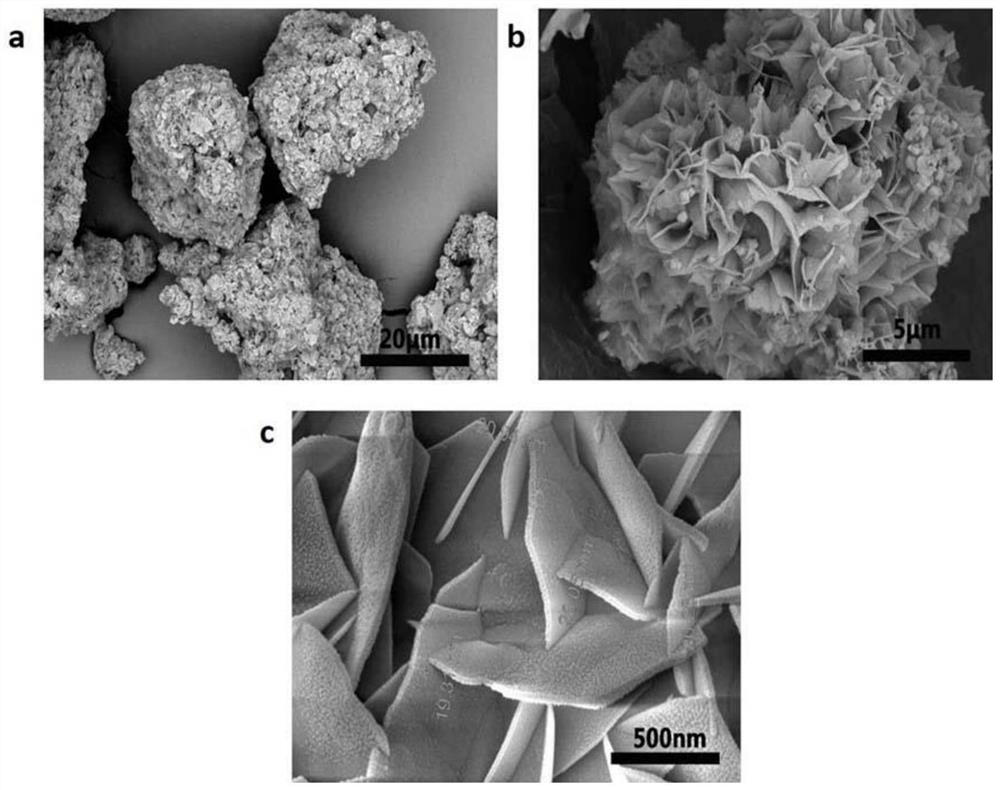 Bismuth oxide/bismuth tetroxide heterojunction photocatalyst and its preparation method and application