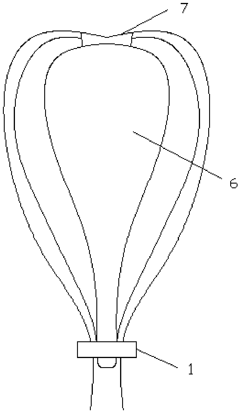 Cruciate ligament repairing structure and method