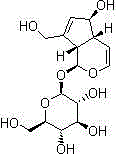 Medicine composition for preventing and treating nephrosis