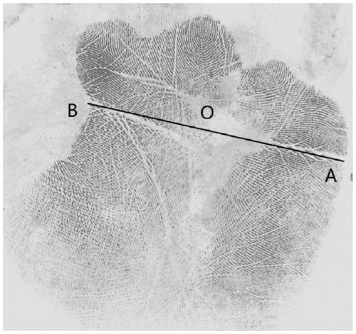 A Large-Scale Palmprint Encoding and Comparison Method