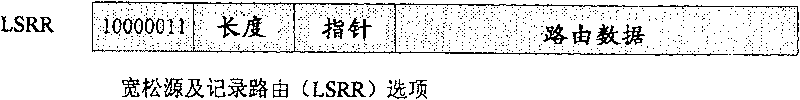 Implementation of expandable IP network based on source routing