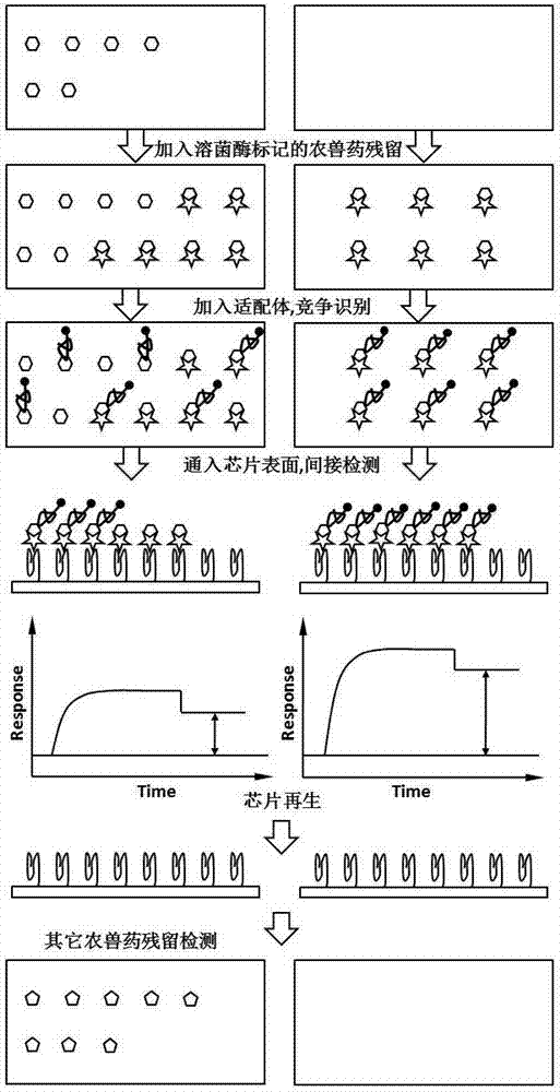 Method for detecting pesticide and veterinary medicament residues in foods based on surface plasma resonance technology