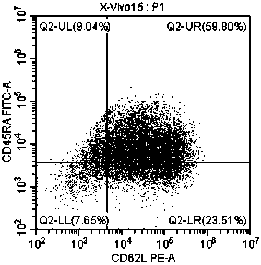 Configuration method for obtaining memorable T lymphocyte subset culture medium