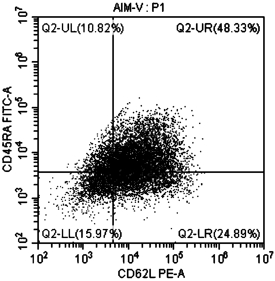 Configuration method for obtaining memorable T lymphocyte subset culture medium