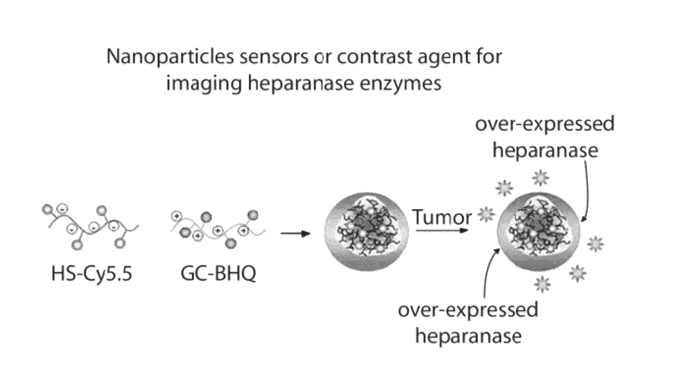 Ionic complex nanoparticles for detecting heparanase activities and method for preparing the same