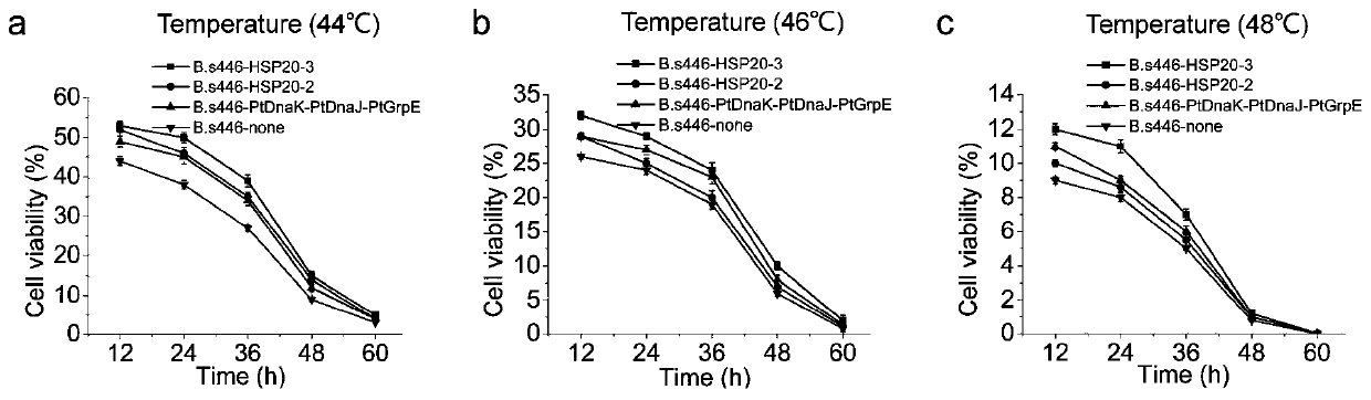 Application of heat shock protein gene from thermophilic bacteria