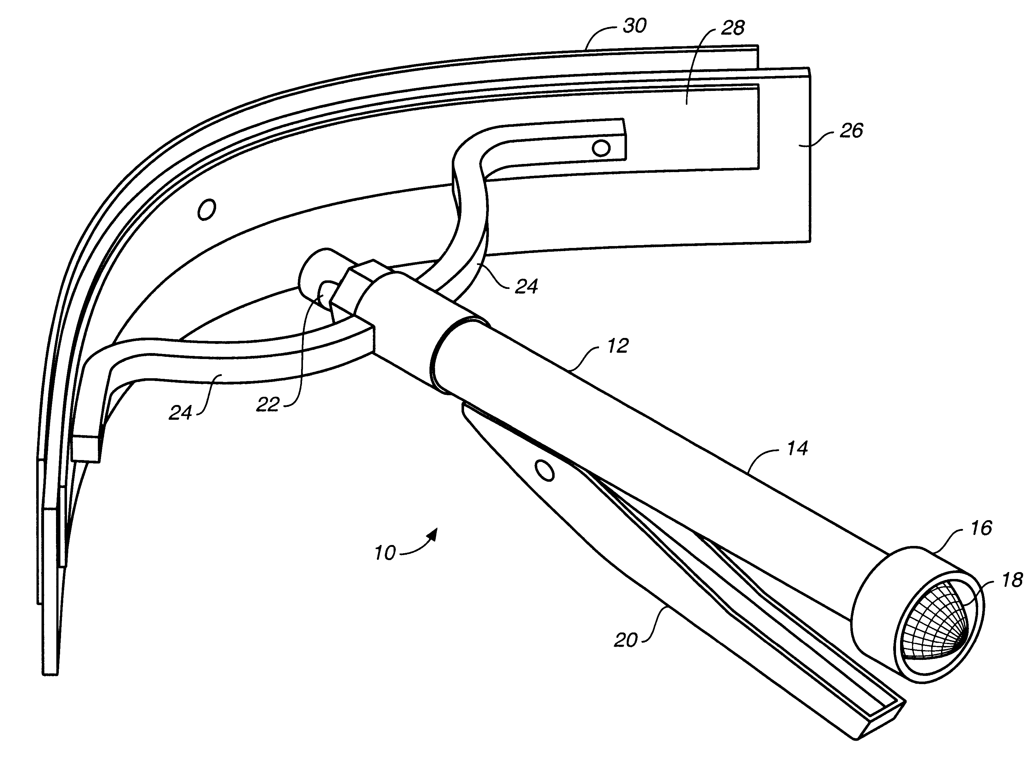 Animal grooming squeegee apparatus