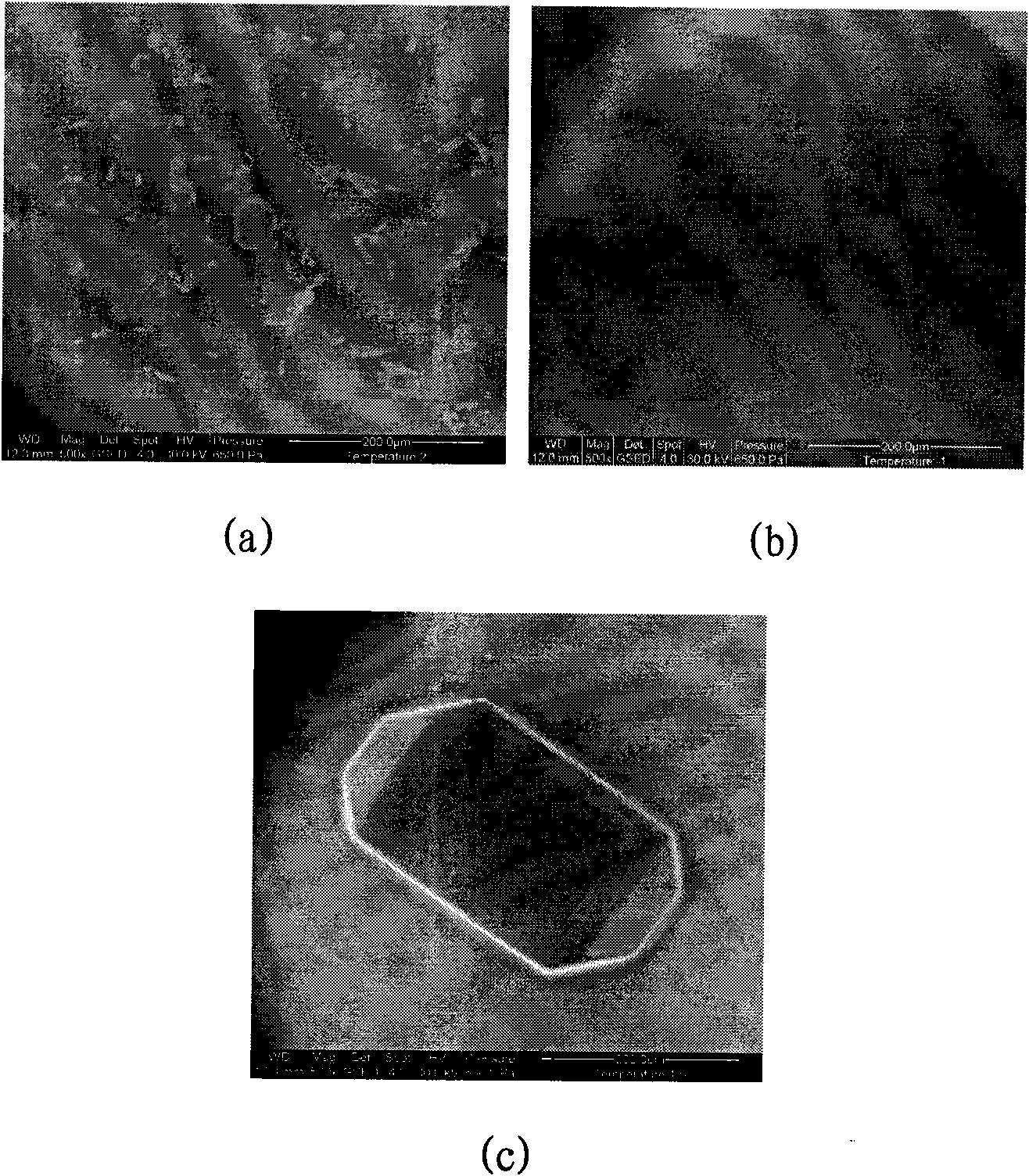 Method for in-situ growth of potassium dihydrogen phosphate single crystal in environmental scanning electronic microscope