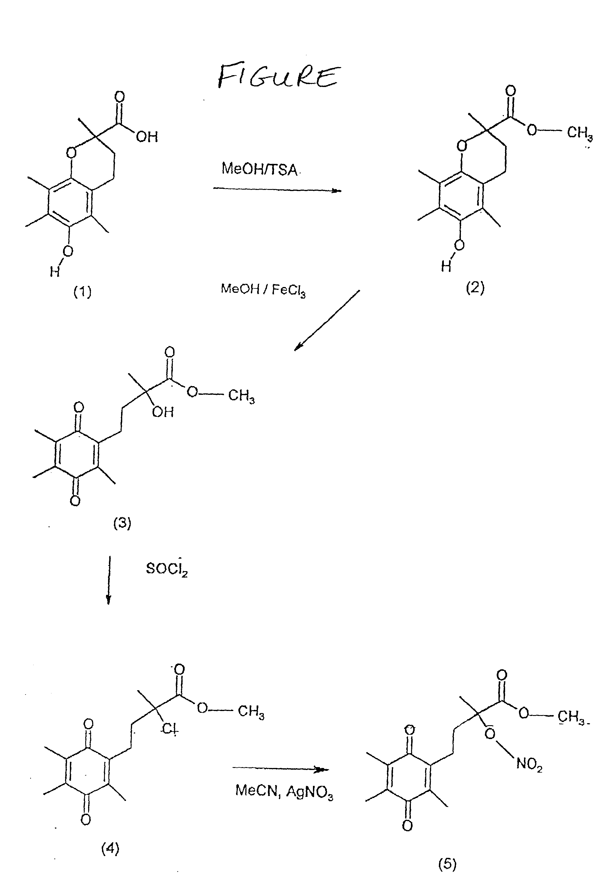 Chemical compounds containing a superoxide scavenger and an organic nitrate or nitrite moiety