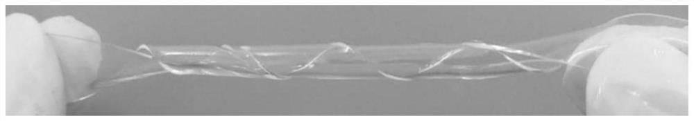 Transparent ion-conductive cellulose hydrogel and its preparation method and application