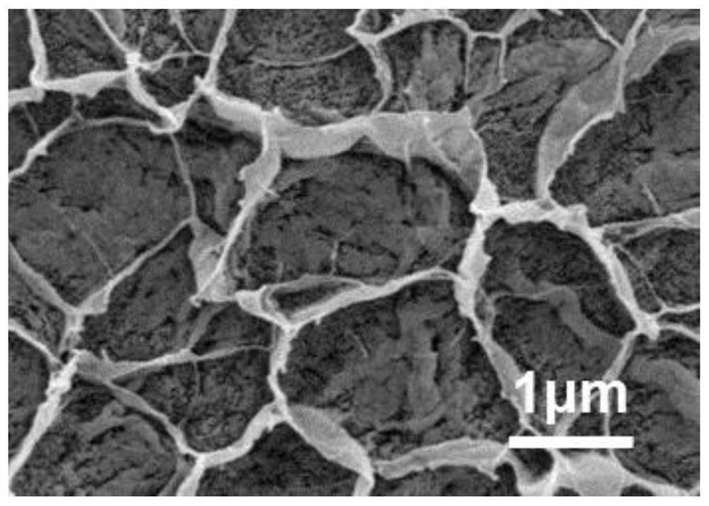 Transparent ion-conductive cellulose hydrogel and its preparation method and application