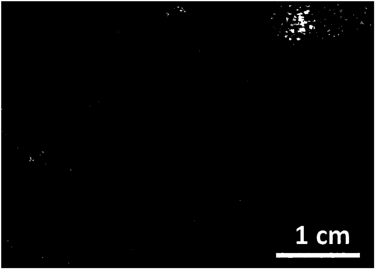 High-strength natural high-molecular hydrogel film and preparation method thereof