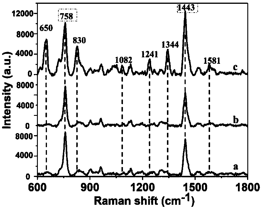 Method for detecting fenitrothion pesticide residues in maize based on surface enhanced Raman spectroscopy (SERS)
