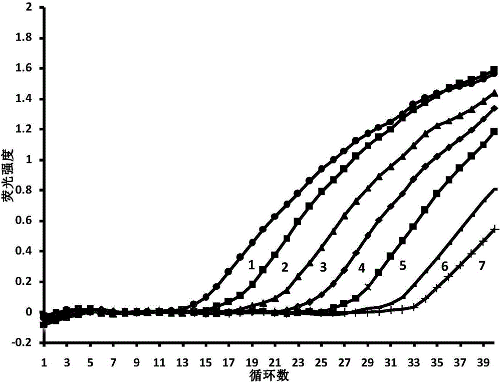 Duck virual hepatitis virus type I and duck plague virus dual-fluorescent quantitative PCR (polymerase chain reaction) method