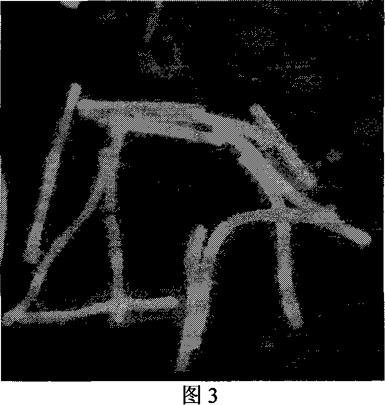 Clostridium Daqing clostridium and application thereof