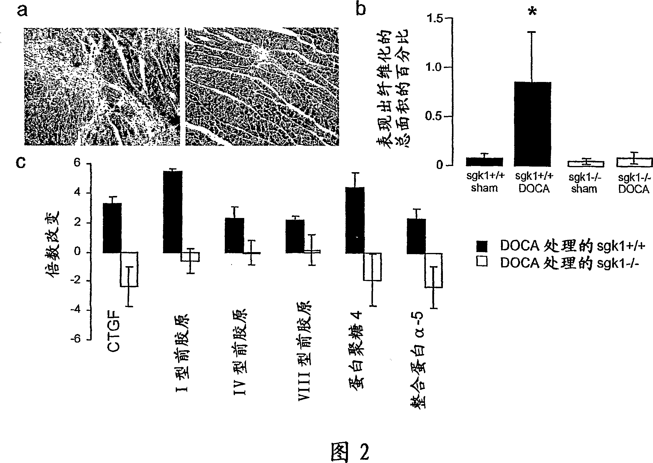 Methods for interfering with fibrosis