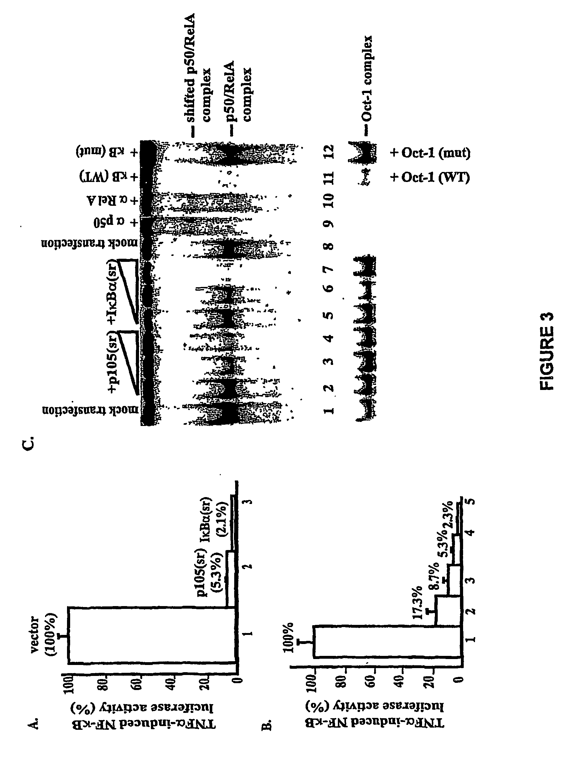 Methods and Compositions for Inhibition of Nuclear Factor kappaB