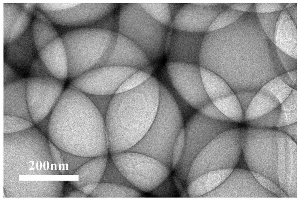 Carbon-based adsorbent and preparation method thereof