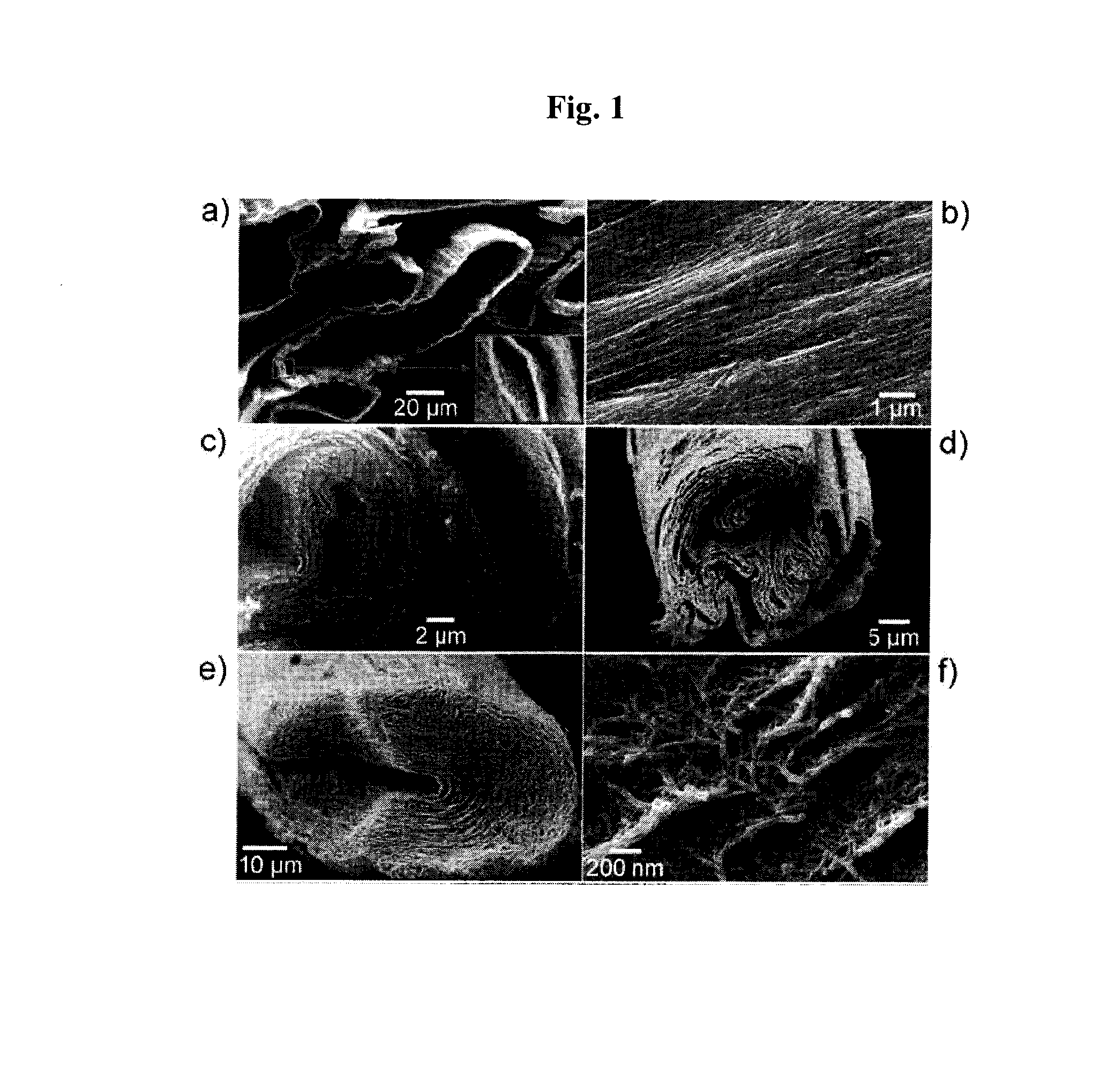 Novel secondary structure of carbon nanostructure, bundle thereof and composite comprising same