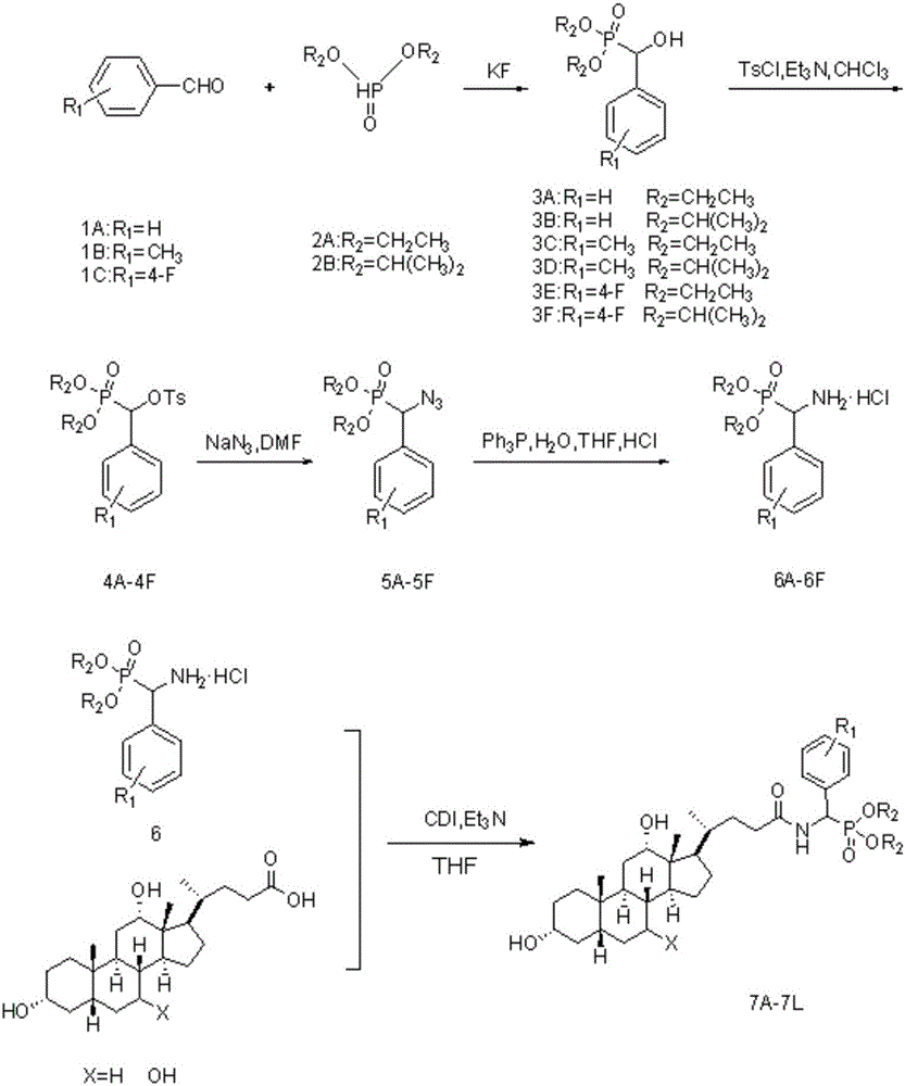 Cholic acid-alpha-amino phosphonate derivative and synthesis method thereof