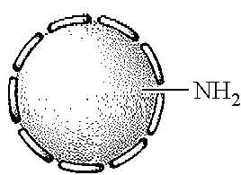 Latex particles imbibed with a thermoplastic polymer