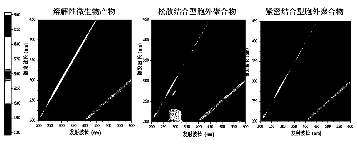 Method for monitoring growth process of organic pollutant on membrane surface of MBR in real time