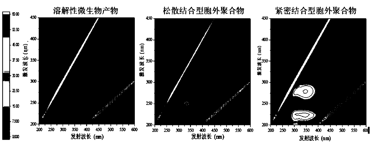 Method for monitoring growth process of organic pollutant on membrane surface of MBR in real time