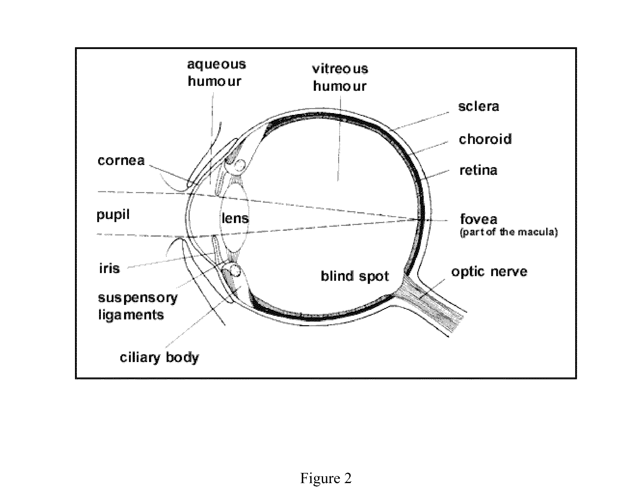Methods of treating outer eye disorders using high ORP acid water and compositions thereof