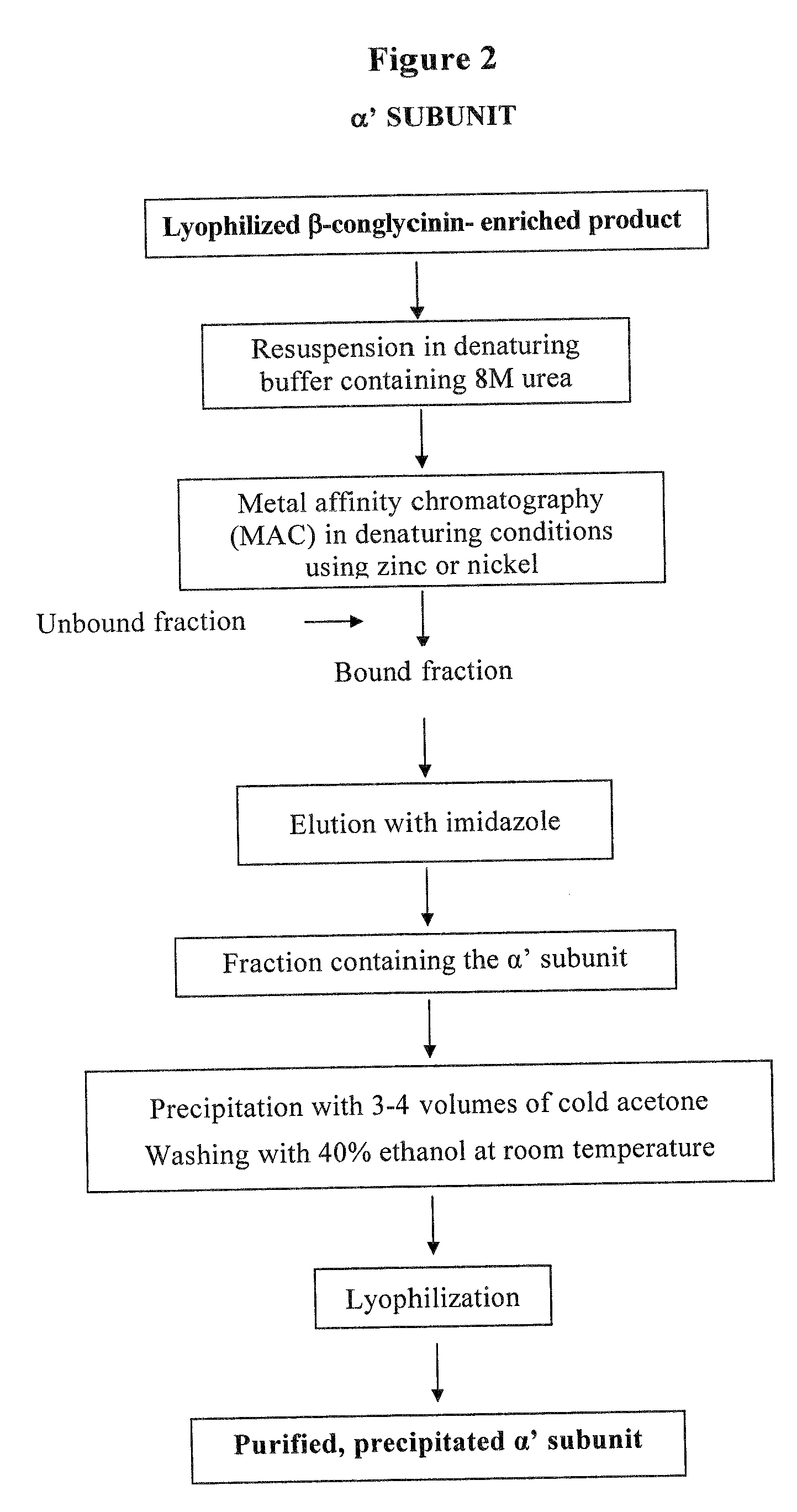 Process for the extraction, purification and enzymatic modification of soy 7s globulin alpha' subunit for use as hypocholesterolemizing agent