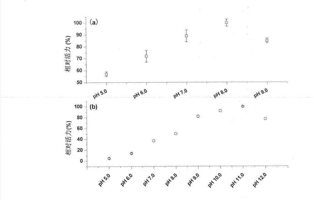 (2R, 3R)-2,3-butanediol dehydrogenase and coding gene and application thereof