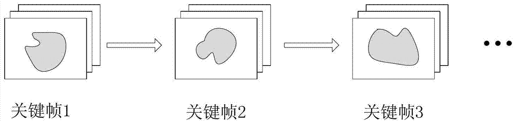 Interactive image processing method used for video